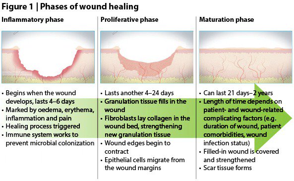 Complications included #infections, pain and #woundhealing issues. Fourteen patients presented with infections at their surgical sites, including infection from multi-drug resistant #bacteria
Submit related manuscript at arsurgery@peerreviewedjournals.com
…ic-reconstructive-surgery.imedpub.com