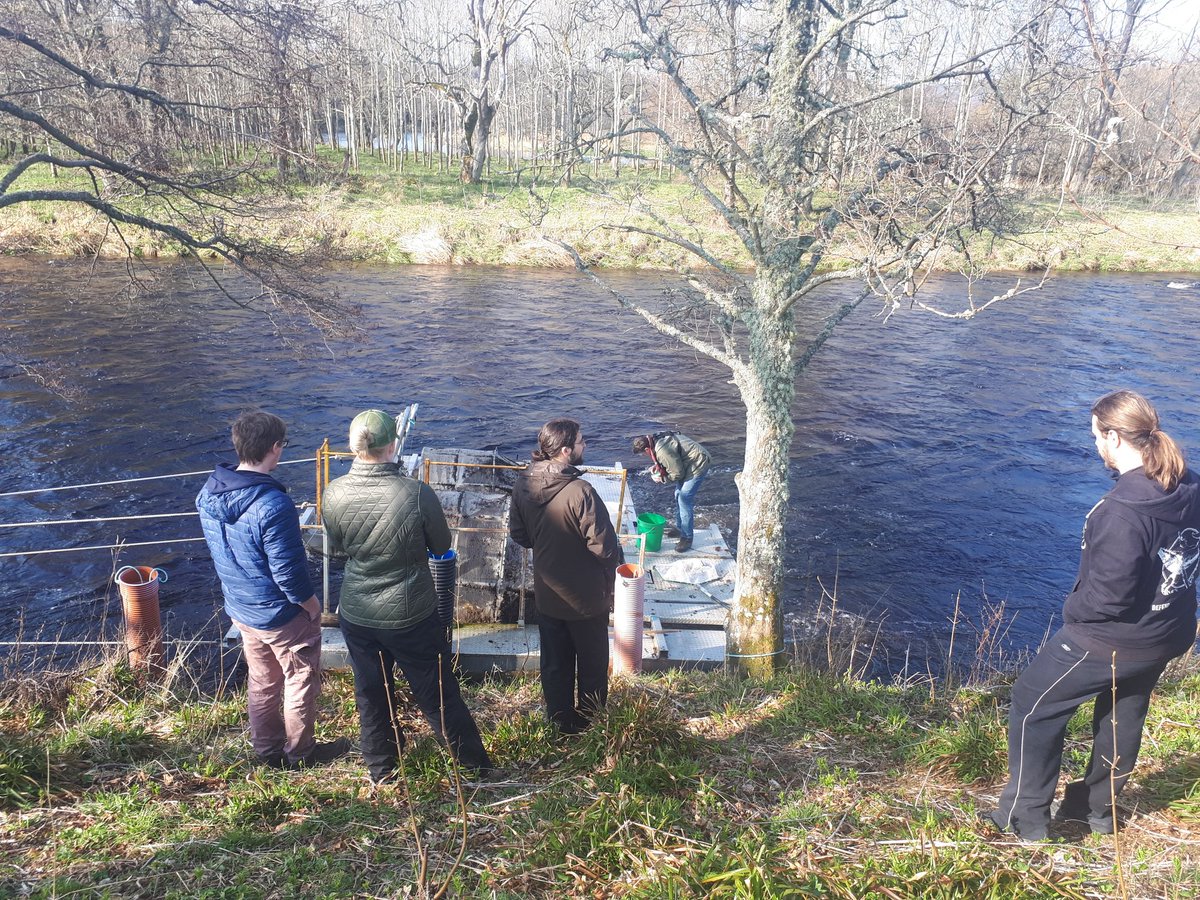 A bit late on the update, but yesterday was our first proper day out in the field, looking for suitable smolts to begin our tagging work for the #MorayFishTrack #MissingSalmonProject 🐟 Our first stop was the Spey - a gorgeous site! @sceneUofG @AST_Salmon @SpeyFishery 🐟