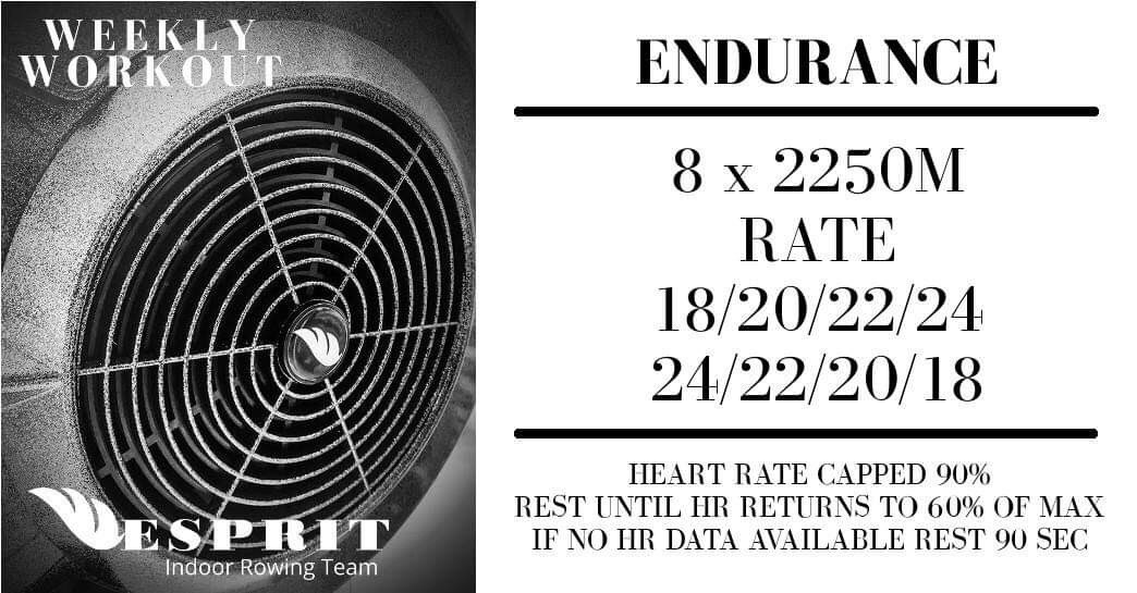 team_esprit's tweet photo. #ESPRITworkout
#TeamESPRIT
#concept2
#indoorrowing
#crossfit https://t.co/6xYlCzRkdd