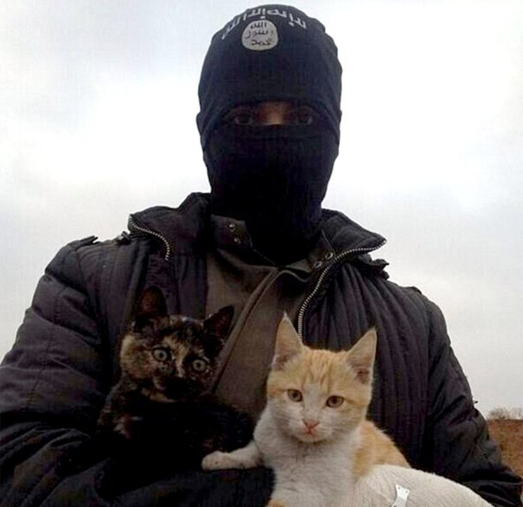 Years ago, Islamicat was live peacefully in Syria under the Pusslimic State, which not do anything like crucify people or chop heads or burn peoples in cages, that just propaganda spreaded by medias. We had nice country!