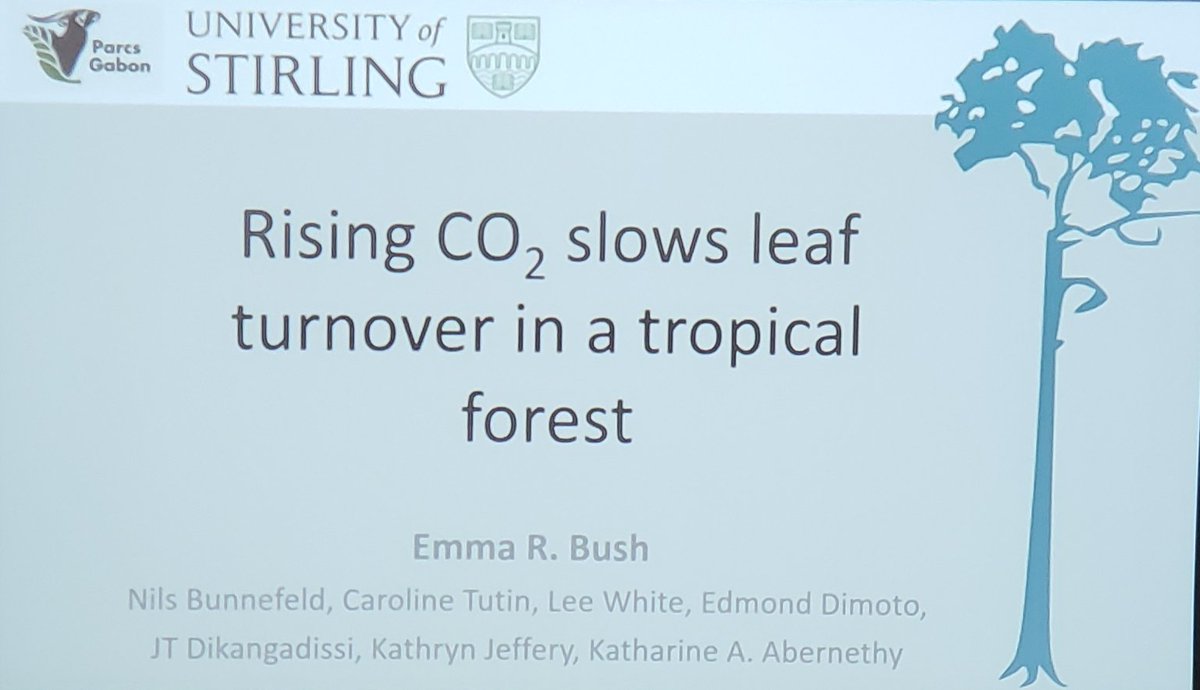 Great thematic session this morning: 'Drought climate change and carbon cycling' #UTE2019