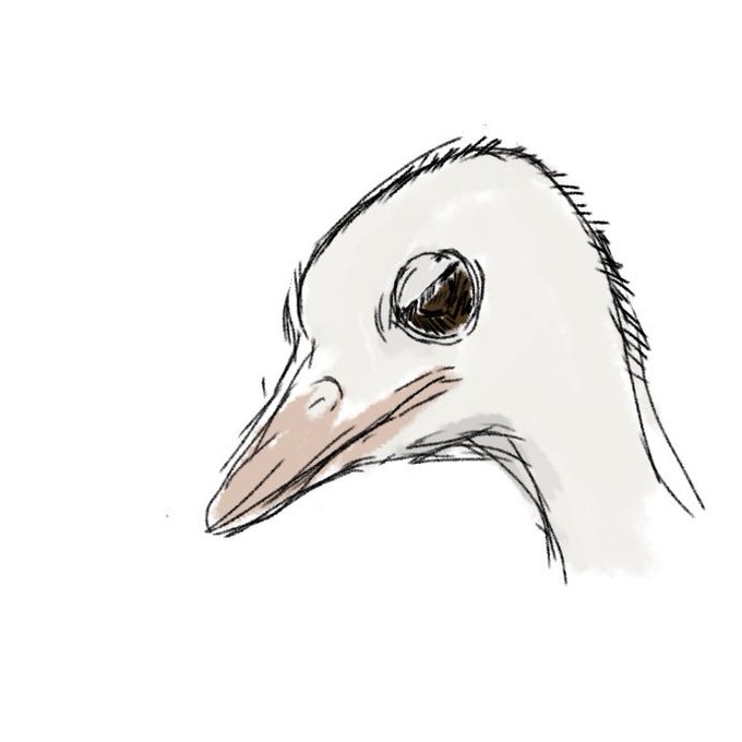 ダチョウのtwitterイラスト検索結果 古い順 ダチョウのtwitterイラスト検索結果 古い順