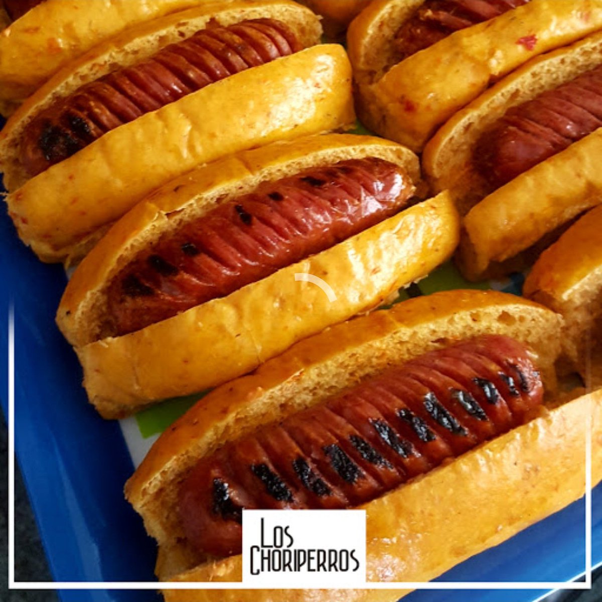 Si te gusta el pernil refrito, estos Choriperros son para ti.Pedidos al Whatsapp 04127074758.

Pan de jojoto, chorizo de ajo, queso Santa Bárbara rallao, pernil mechado refrito, guasacaca llanera, tártara maracucha (ajo con perejil). Y salsa picosa de ají dulce y ají Caribe.