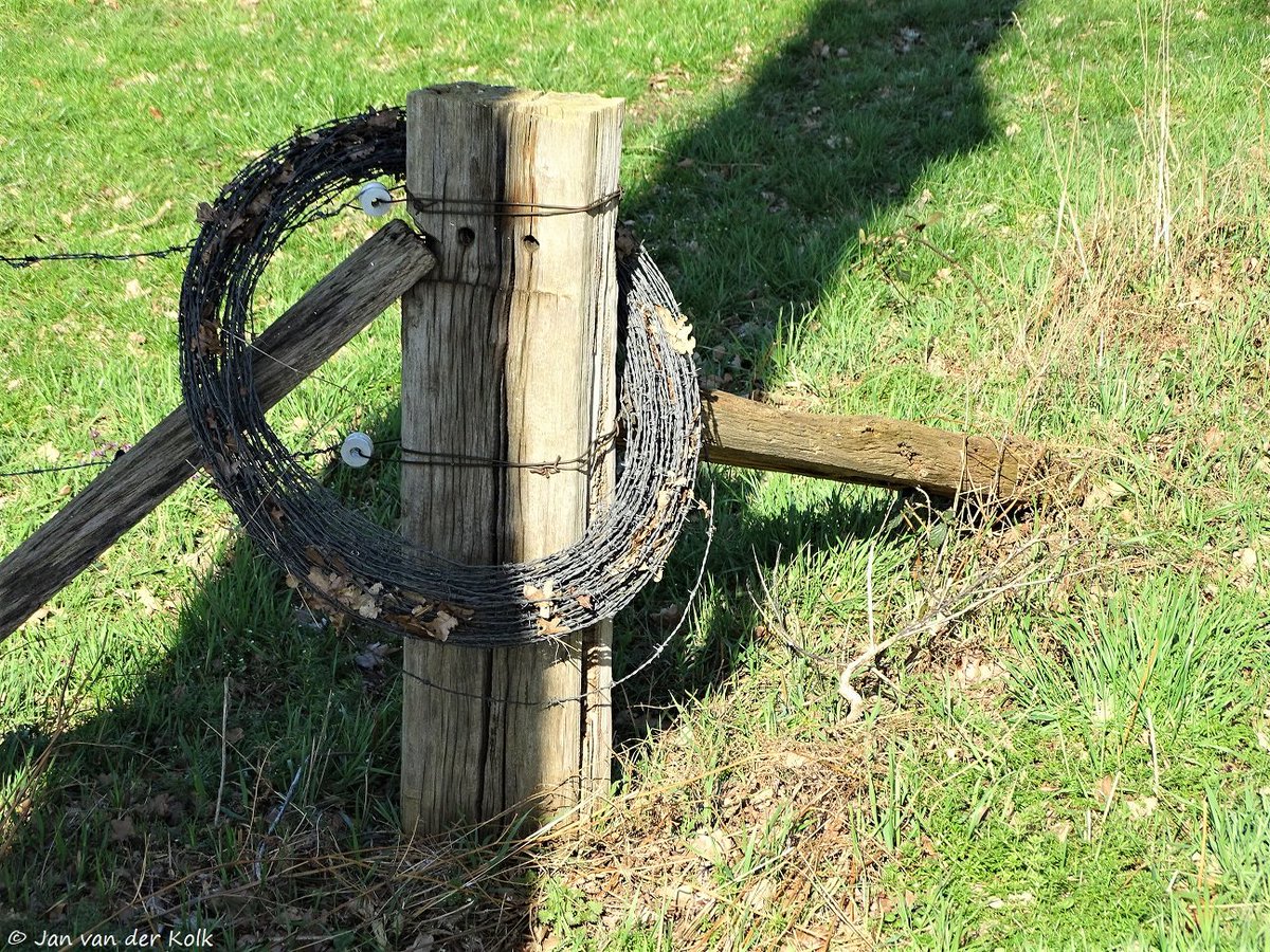 BekiekTwente's tweet photo. Einde afrastering in #Volthe #Voalt
#Dinkelland #Twente #BekiekTwente https://t.co/iR6FdY8vkt