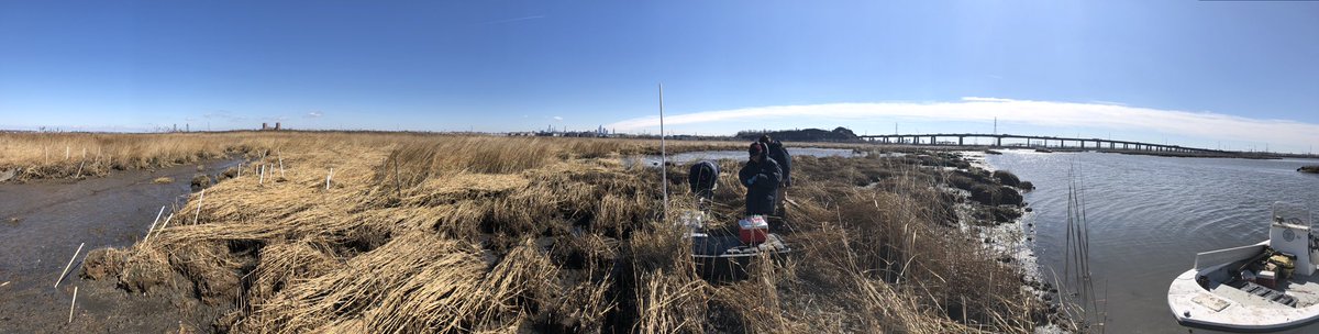 MeadowlandsSci's tweet photo. MERI staff taking seasonal air chamber measurements as part of an EPA grant observing greenhouse gas emissions across a salinity gradient #Science #wetlands #greenhousegases #fieldsampling #fieldwork #research #researchers https://t.co/hcCRW2oZmB