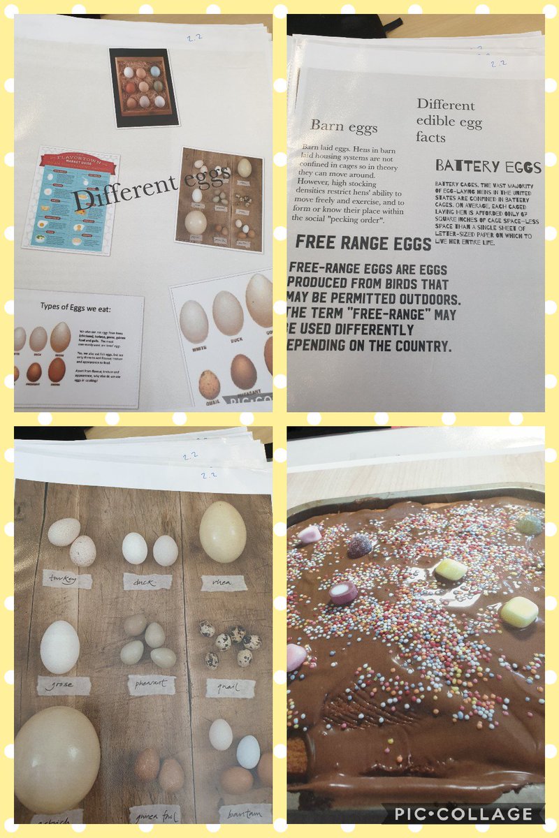 SpringwellHigh1's tweet image. During our BTEC cooking lesson, students have been looking at the many different types of eggs. The end  result was a scrumptious chocolate cake egg😊😊