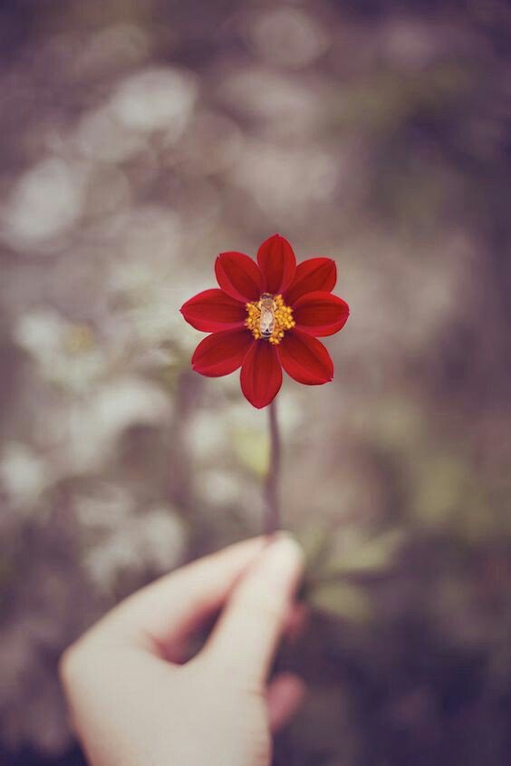 인생을 해롭게 하는
불평은 그만 하고

인생을 즐겁게 하는
감사를 많이 하며사세요

감사하며 살아가면
감사할 일들이 더 많아지니까요

삶이 힘들더라도
항상 좋은 기운을 간직하세요
좋은 일들이 많이 찾아올테니까요