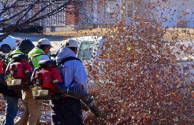 QuietCoalition's tweet image. Quiet Victory: D.C. bans gas-powered leaf blowers. Quiet Clean DC, working with The Quiet Coalition and Quiet Communities, has delivered a win for every living thing that breathes and has ears. thequietcoalition.org/quiet-victory-…