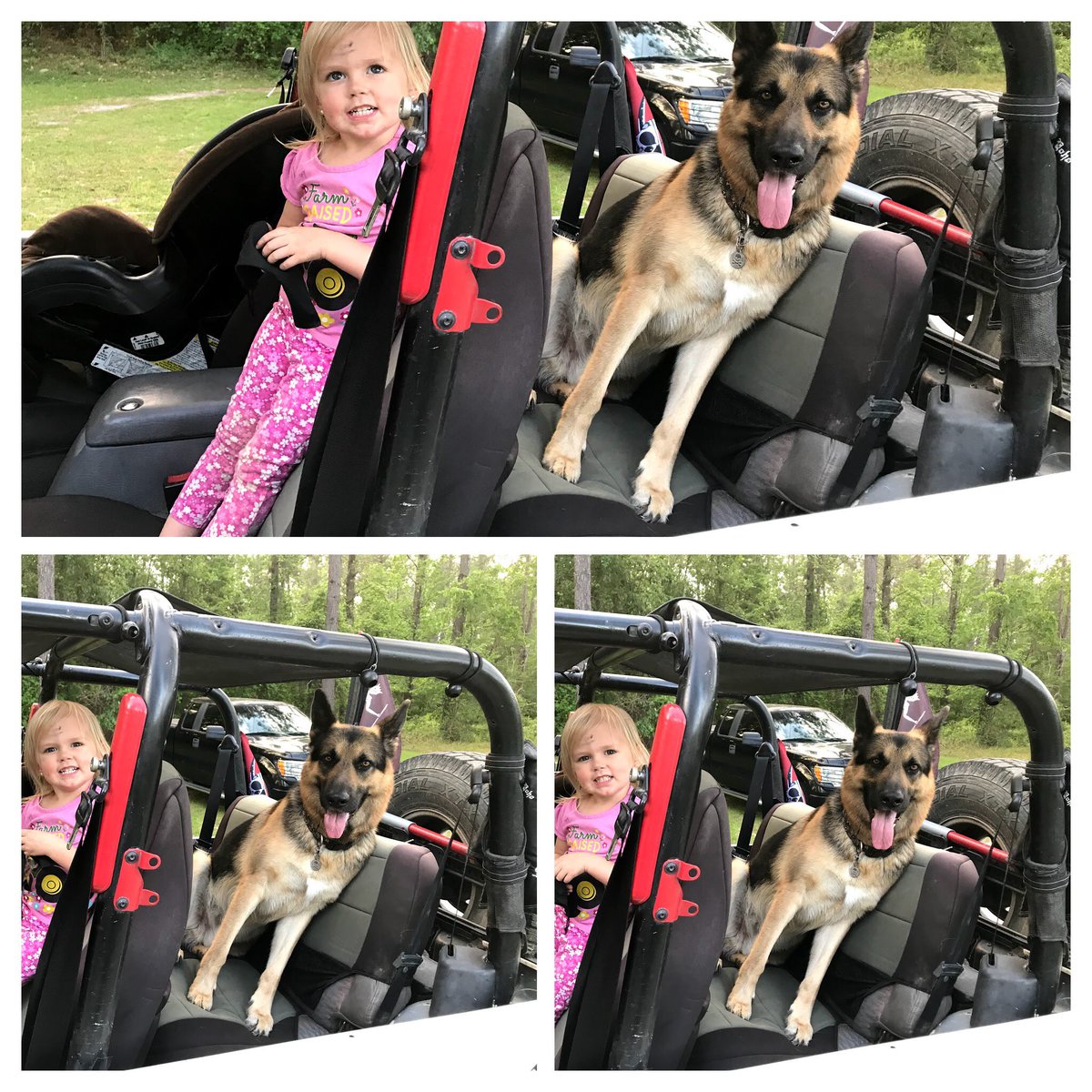 #princessabi and her #jeepdog. #wranglerwednesday 🏴‍☠️👑🐺 <a href="/lcbusbin/">laura</a> <a href="/THEJeepMafia/">The Jeep Mafia</a> @JeepKrewe <a href="/KrawlAmerica/">Krawl America®OlllllllO</a> <a href="/Legendary1941/">Legendary 1941</a> <a href="/kyjeepmom/">kyjeepmom</a> @offroadelements <a href="/OffRoadDivas/">Off Road Divas</a> <a href="/ErinsDemonJeep/">Erin</a> <a href="/LakeHuronGirl/">J-me 𝑎𝑘𝑎 𝒲𝒾𝓁𝒶𝓂ℯ𝓃𝒶®️</a> @laurie988 <a href="/iwata77/">kate</a> etc