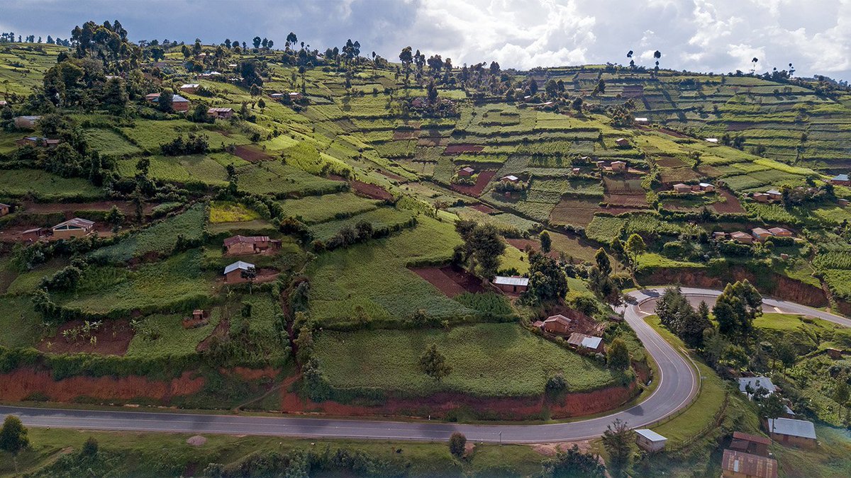 The World From The Sky tweet media