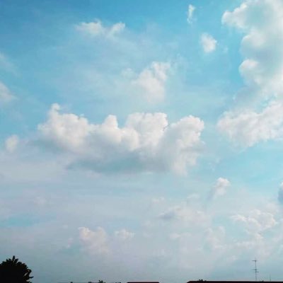 Your Sky tweet media