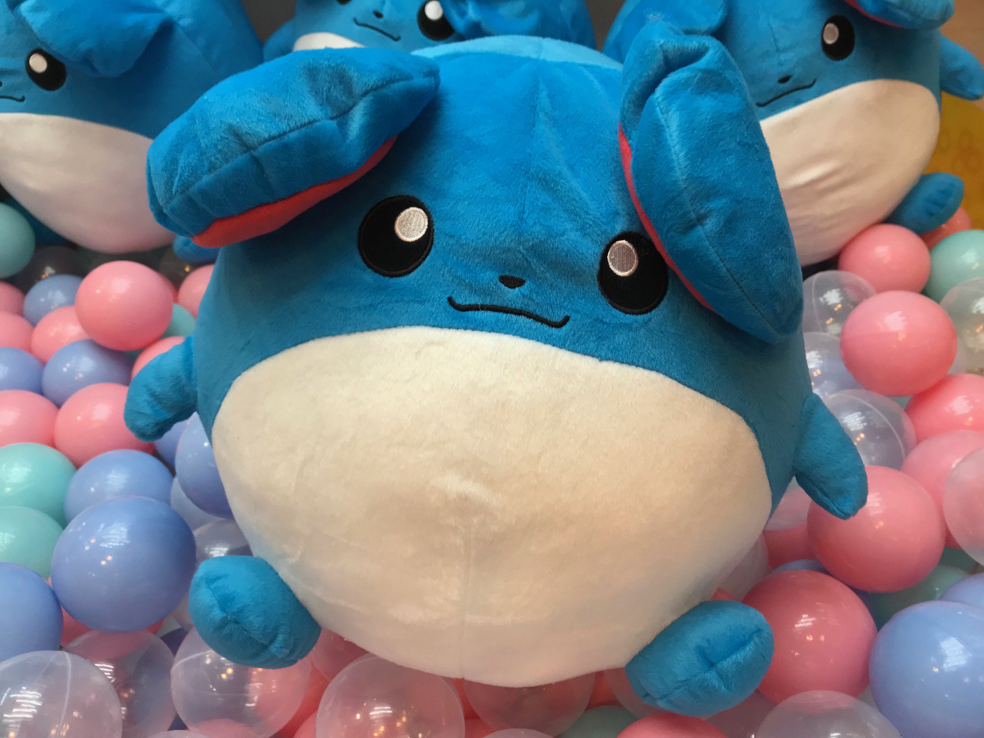 Mg Bowl屋島店 新景品情報 ポケットモンスター サン ムーンの新景品 めちゃでかマリルぬいぐるみ が人気です まん丸な みずねずみポケモン マリルの全長約30cmのbigサイズぬいぐるみが登場 しっぽもチャーミングなのです ゲットはお早めに