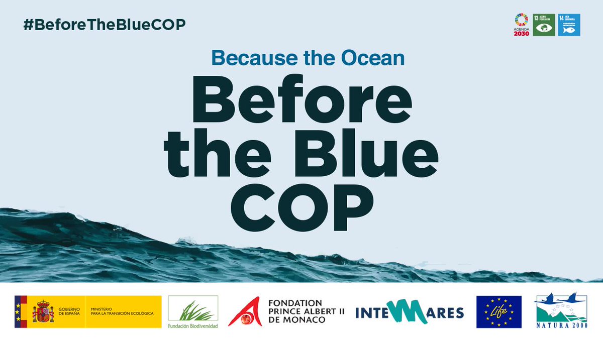 'Preserve the ocean's natural blue carbon function to boost climate resilience.'@jessen_anders
🇬🇧💙🌊 
@DefraGovUK @beisgovuk @DominicPattins2 @TarquinOcean
#BeforeTheBlueCOP #BecauseTheOcean 
#oceanhealth
#bluecarbon
#oceanforclimate
#OneOceanOnePlanet
#SDG14 #COP25 #30by30
