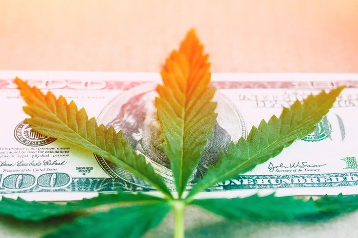 TechInvestClub's tweet image. 3 Marijuana Stocks You Can Buy and Hold for the Next Decade buff.ly/2G14JfX