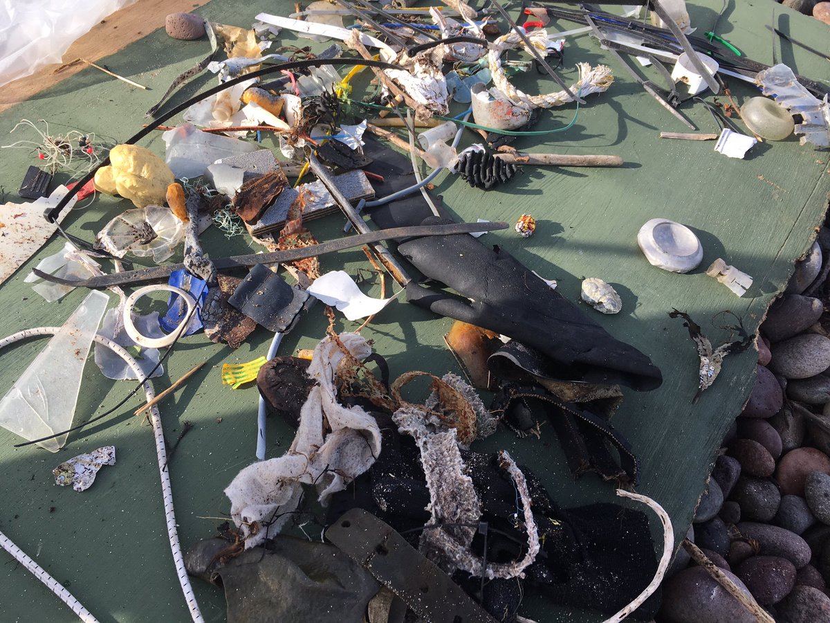 Sustainable Angus tweet media