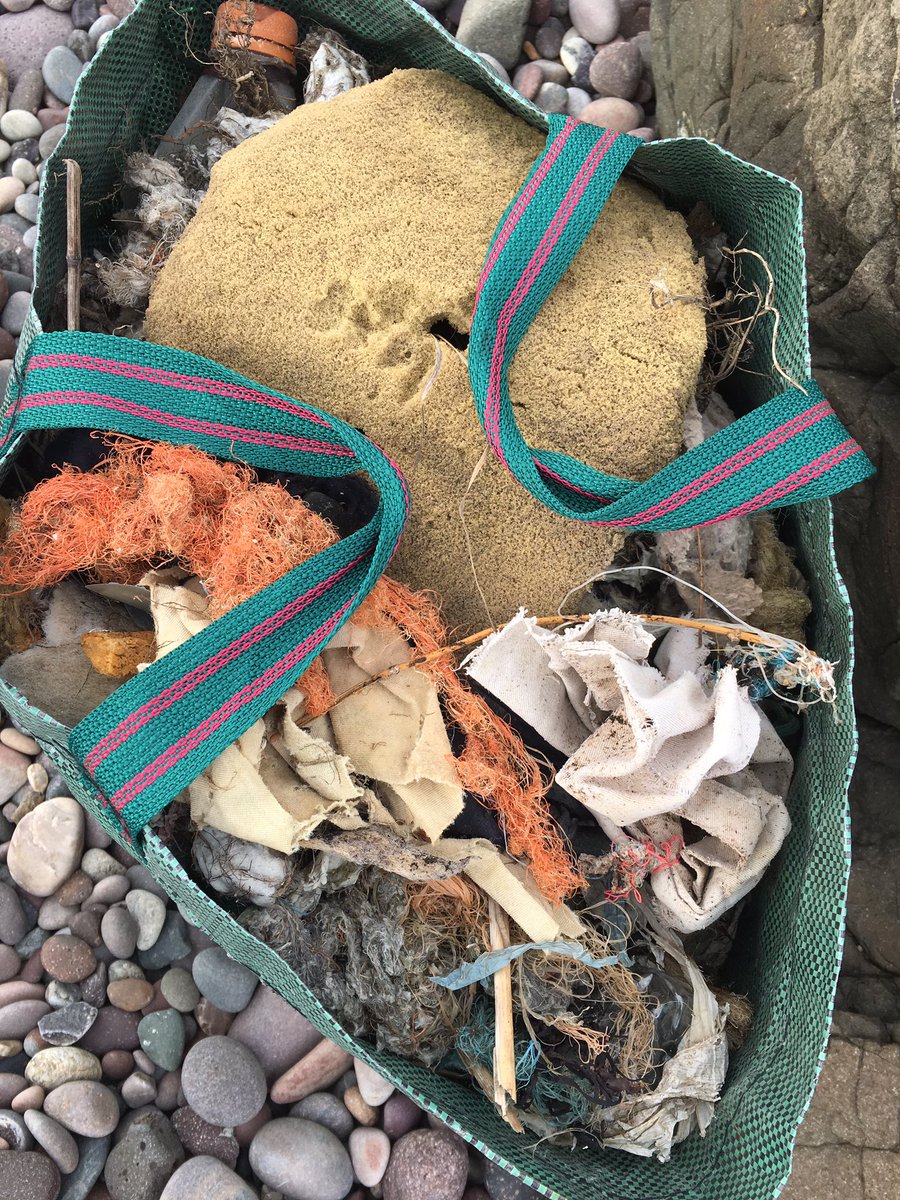 Sustainable Angus tweet media