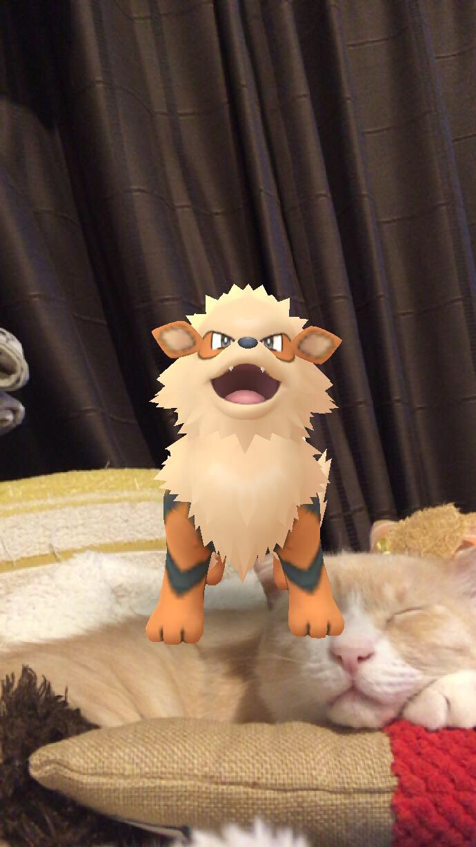 日曜ポケモン Twitter Search Twitter
