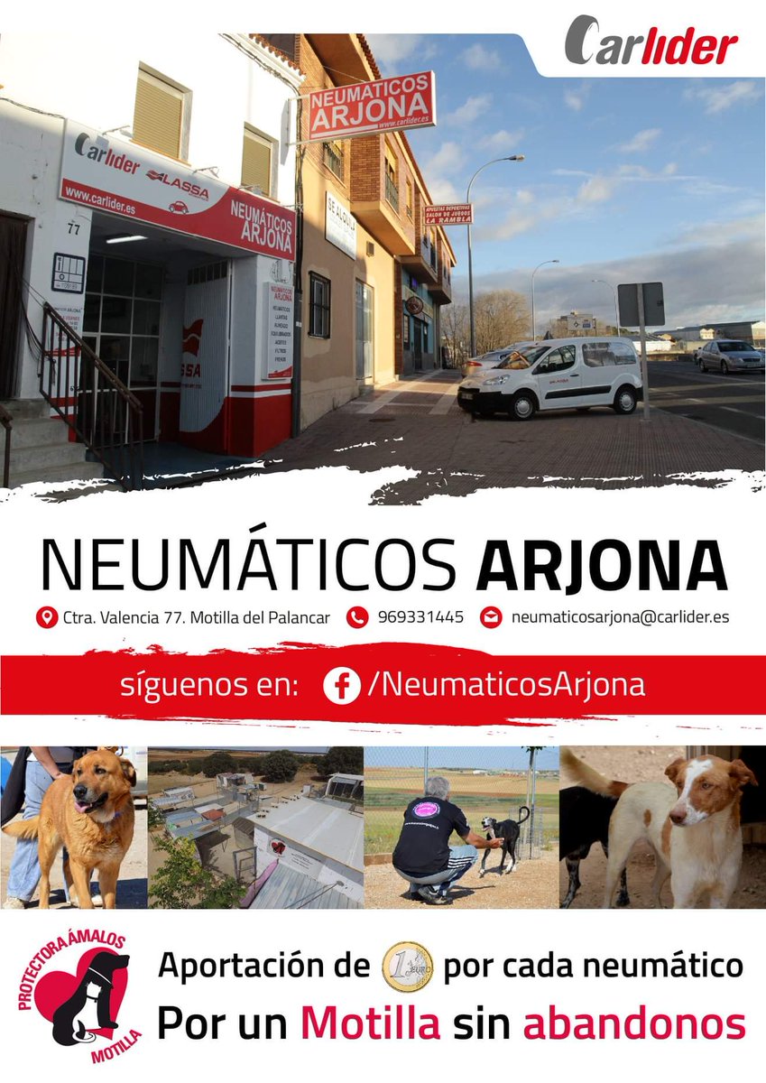 amalosprotec's tweet photo. 🤔 ¿Sabes que...? De todos los neumáticos montados hasta el 10 de mayo donaremos a la 🐕 Protectora Amalos 1€ por cada neumático. 
·
#PorUnMotillaSinAbandonos #NeumaticosLassa https://t.co/s5K86IsSrK
