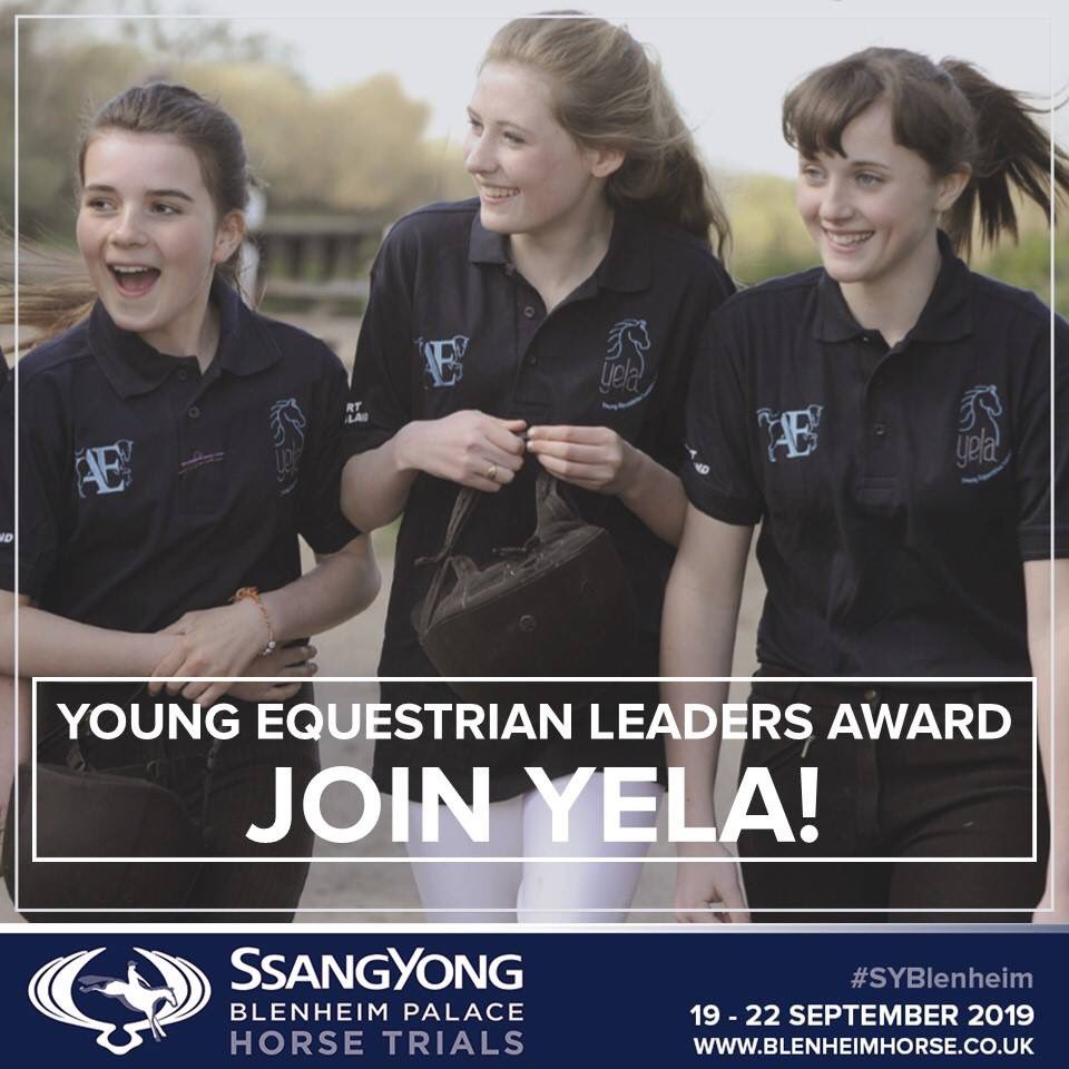 BlenheimHorse's tweet photo. Are you a young person aged 13 – 25 & would you like to gain recognition for your volunteering efforts? We are working with the Young Equestrian Leaders Award (YELA) to help showcase your leadership, communication & commitment to the industry. https://t.co/ZyLXUqcLZK.
#SYBlenheim https://t.co/amZ5UTZICr