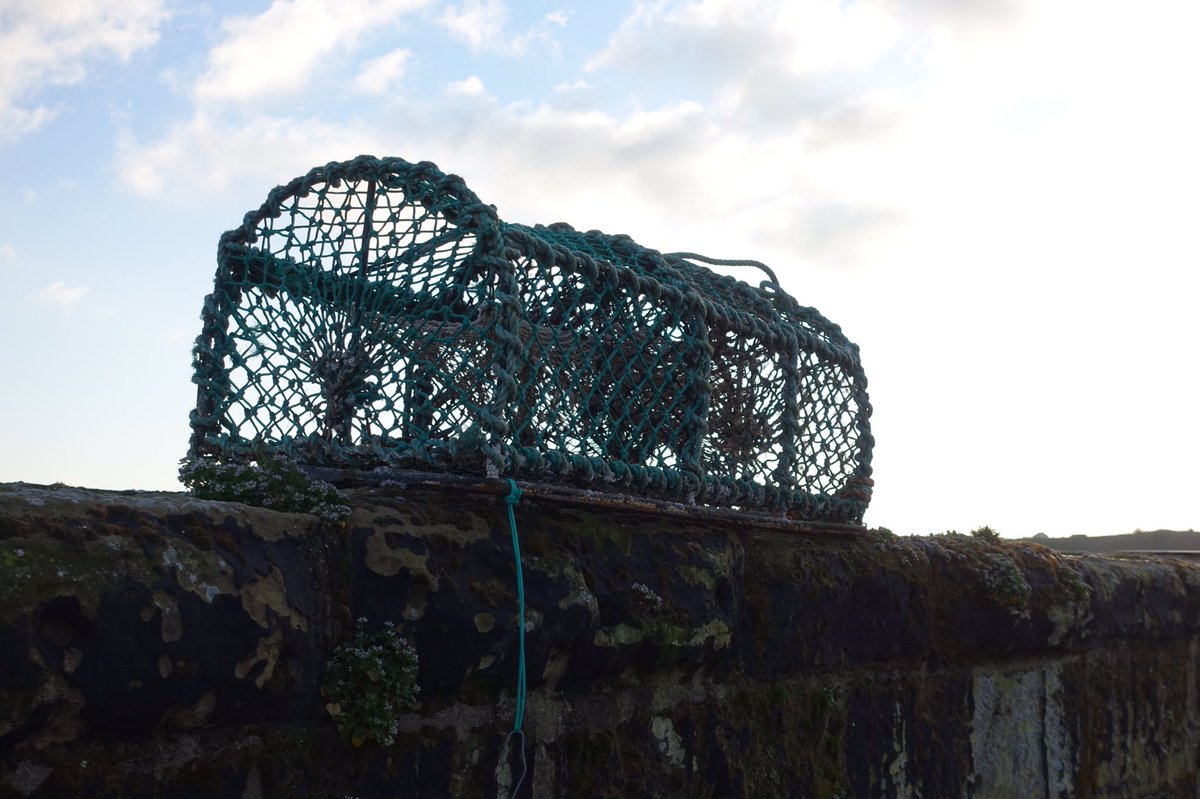 Crail - my favourite East Neuk village - every summer spent here as a child!🏴󠁧󠁢󠁳󠁣󠁴󠁿#eastneuk #Fife #fifecoastalpath @welcometofife #ScotlandIsNow @VisitScotland @visiteastneuk #crail