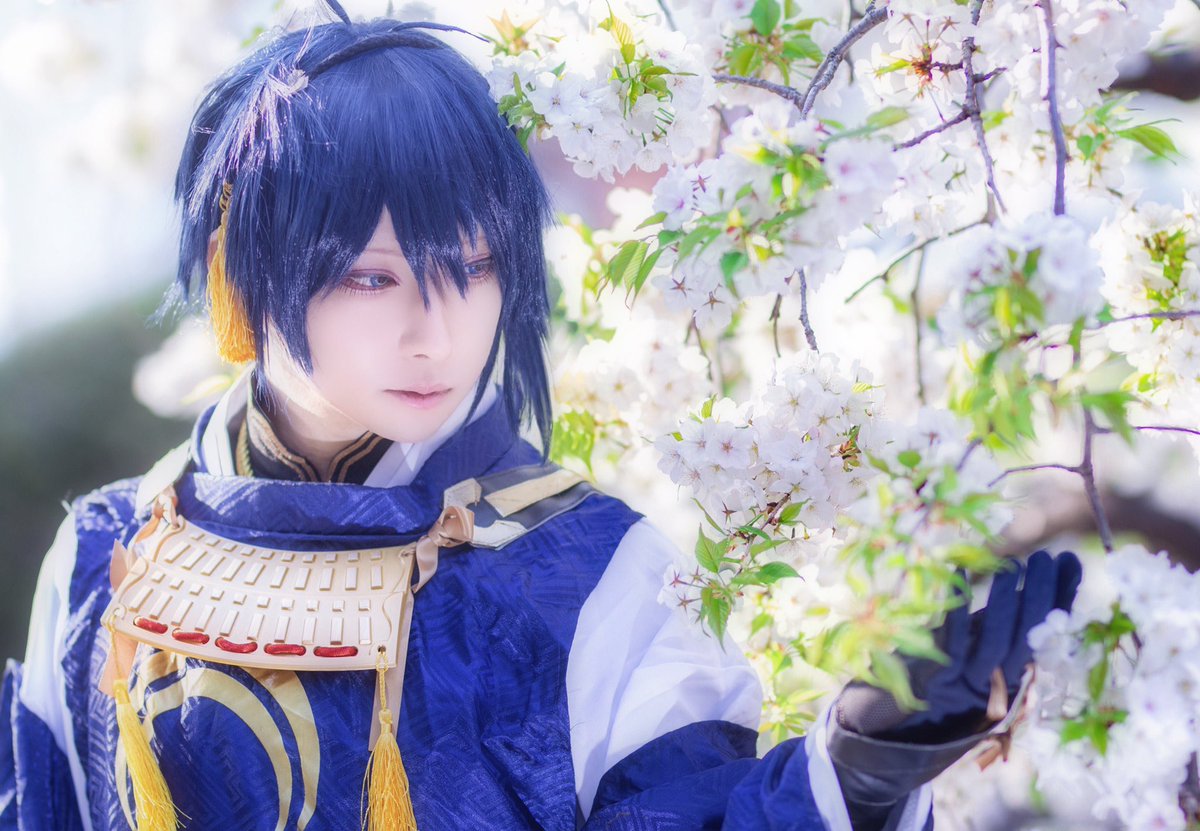 ひやニキ בטוויטר コスプレ 刀剣乱舞 三日月宗近 桜は散るからこそ美しい 春に桜撮影をするのが毎年の楽しみです みつお イベント地 仮染街 ひやコス とうらぶ