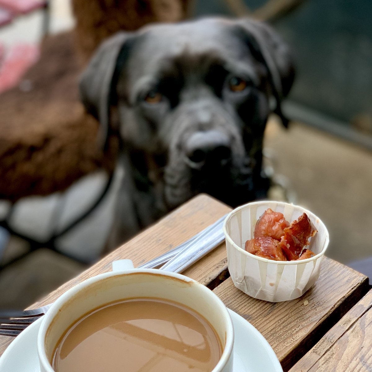 Elinor Perry tweet media