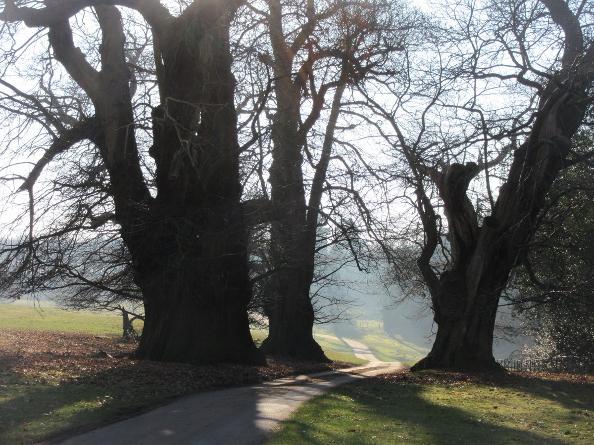 Join Bedfordshire Gardens Trust from 7-9pm on 6th May in #Ampthill to find out details of Humphry Repton's gardens @Woburn_Abbey <a href="/MoggerhangerPK/">Moggerhanger Park</a>, The Hazells (Sandy) &amp; Battlesden Park greensandcountry.com/2019/01/15/gre… #GCFestival2019 #GreensandCountry 💚