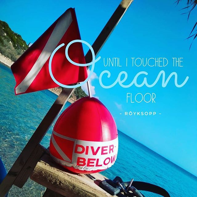sobescuba's tweet photo. Let's just sink beneath the surface and chill for a bit 🌊👌🏼 https://t.co/bb64F3O83p https://t.co/NBYugFhnnn