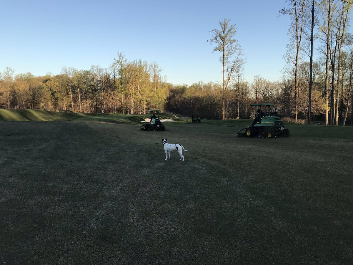dwalter174's tweet photo. First mow of the season on the #latitude36. New season new equipment! @FinchTurf @PotomacShoresGC #dogsofturf https://t.co/5RMSzw5bqZ