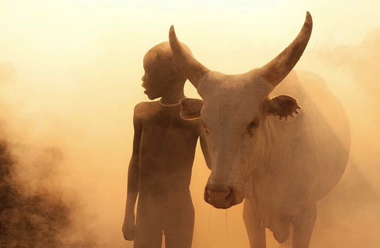 Beautiful photographs by alumnus <a href="/hesh4m/">Hesham Alhumaid</a> from his trip with the Mundari Tribe in South Sudan. ⁣
⁣
Head to his profile for more. ⁣
⁣
#CrosswayAlumni