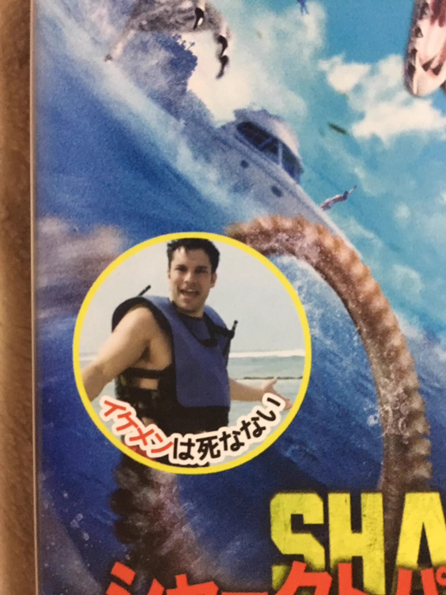 活動歴および当時の関連ビジュアル記録