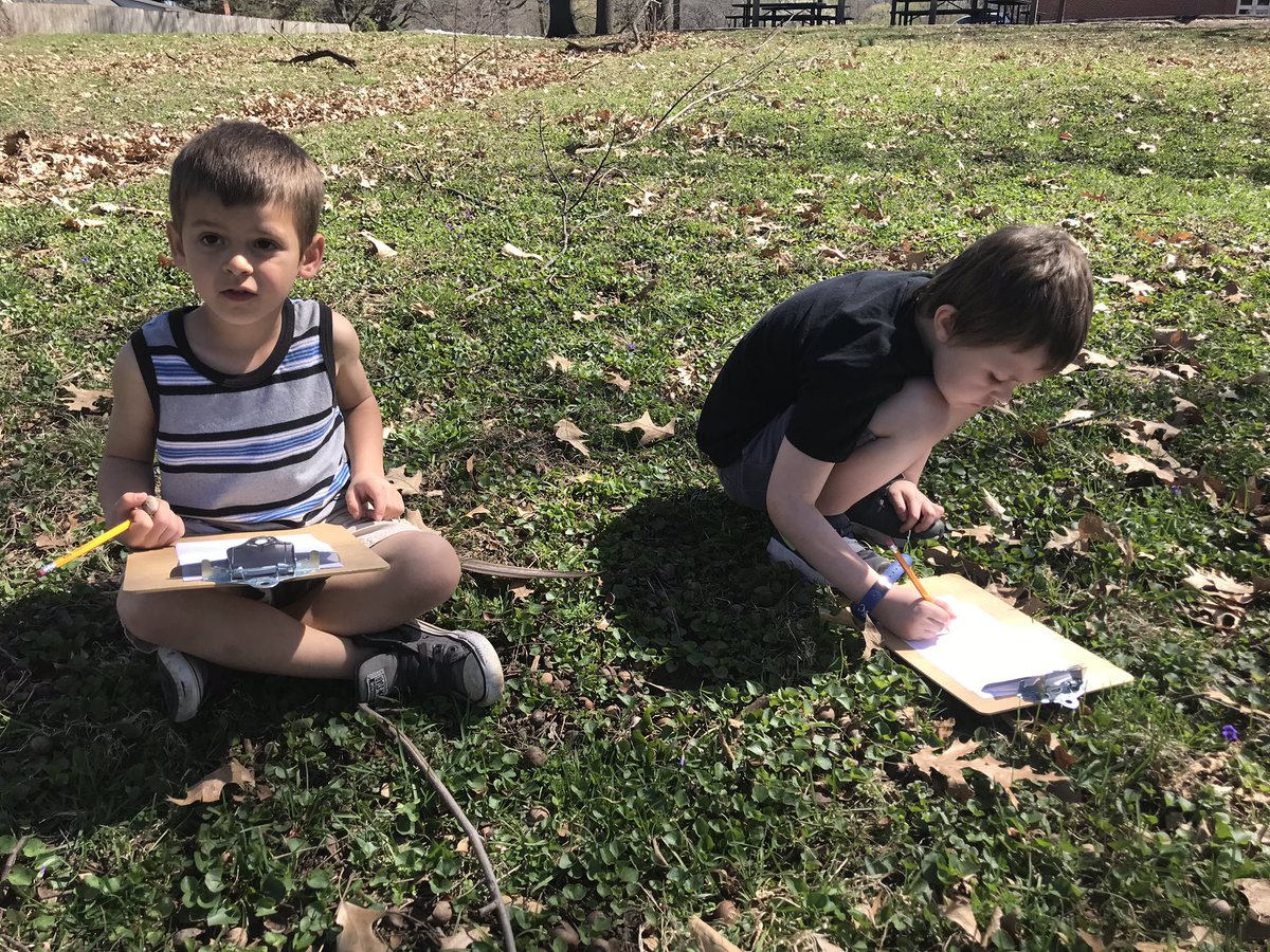 rachelbernalisd's tweet image. Ss observed closely to make “nonfiction drawings” of living things in our forest habitat. @lufflions #ISDkinder #ISDStrong @isdscience