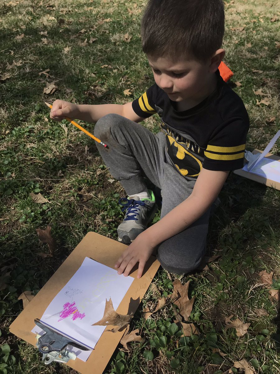 rachelbernalisd's tweet image. Ss observed closely to make “nonfiction drawings” of living things in our forest habitat. @lufflions #ISDkinder #ISDStrong @isdscience