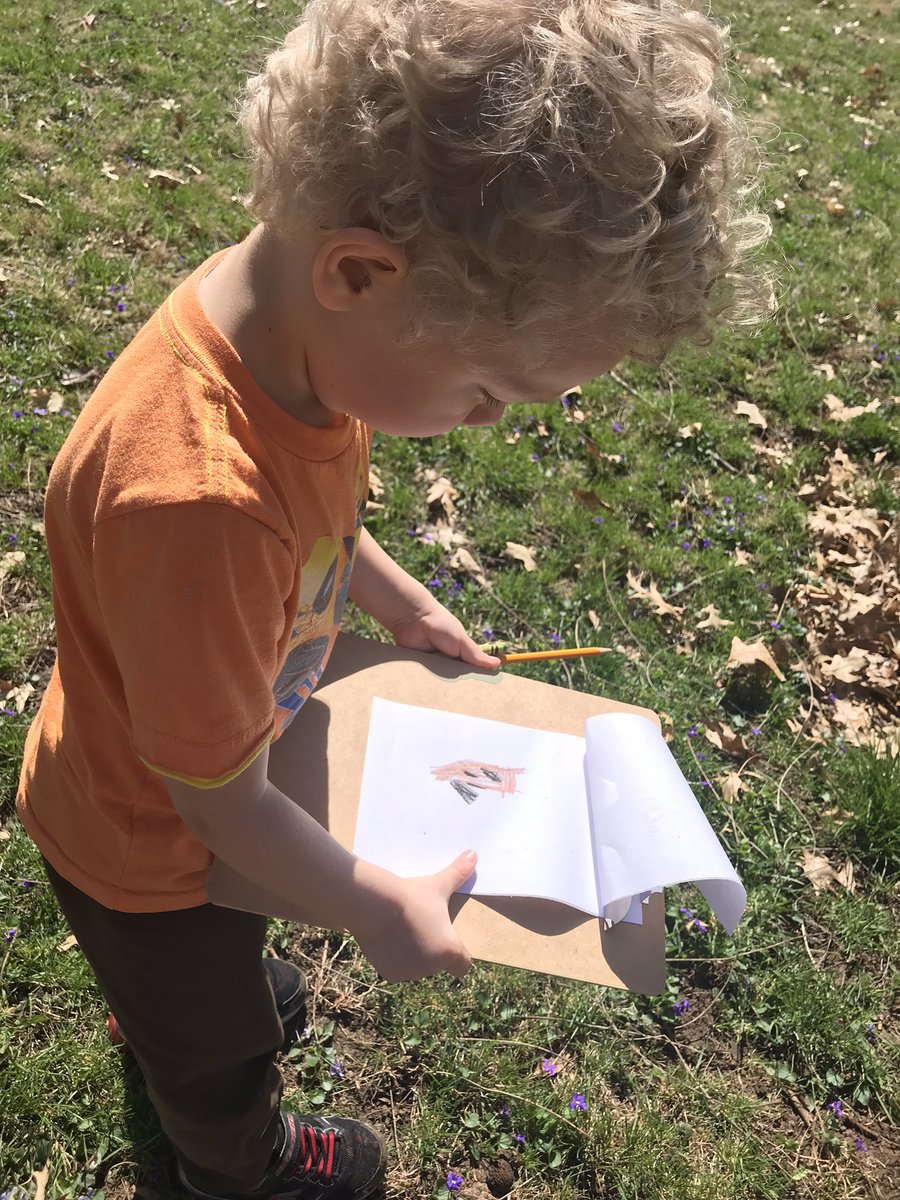 rachelbernalisd's tweet image. Ss observed closely to make “nonfiction drawings” of living things in our forest habitat. @lufflions #ISDkinder #ISDStrong @isdscience