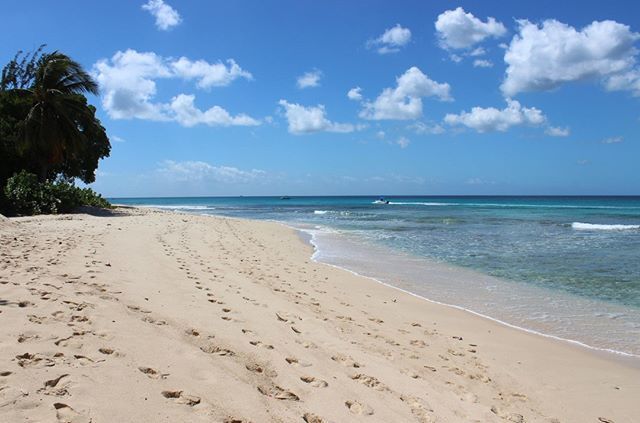 Let's take a stroll ⁣
.⁣
Book your next holiday to Barbados with us and make this your backyard x⁣
.⁣

#BarbadosVillaServices #bvs #Barbados #barbadosholiday #travel #travelguide #travelblogger #caribbean #caribbeantravels #island #holiday #ho… bit.ly/2UJQyFr