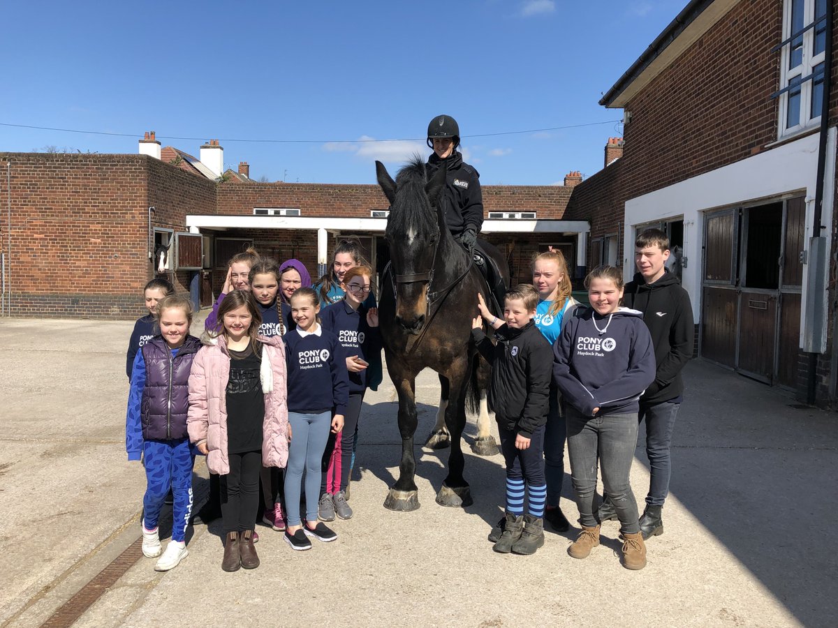 MerPolMounted's tweet photo. Haydock Park branch from @ThePonyClub came to visit the yard this morning. Whilst here they meet all our horses and learnt about the roles of our police horses, our officers and our grooms! They were also amazed by the size of Major’s feet #StandTall #PonyClub #MountedPatrols https://t.co/5wJZlj7CLG