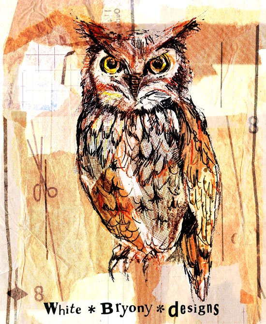 BryonyDesigns's tweet photo. tweeting a twoot... enjoying doing #the100dayproject set up by @vicjdesign #birdsbutterfliesandblooms ...I only wonder if I can really manage to get to 100!! I love owls, what's your favourite bird? #owls #whitebryonydesigns https://t.co/VncjonBI1P