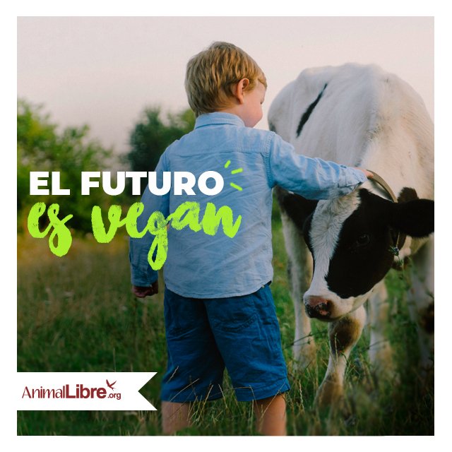 AnimalLibreEC's tweet photo. El cambio es necesario, por los animales, el planeta y la salud! Go Vegan! 

#veganismo #activismo #activistas #DerechoAnimal #educacion #etica #compasión #cambiaelmenu #vegan #informacion #especismo #antiespecismo #animales #cambioclimático

Infórmate https://t.co/3FgGPuQSMz https://t.co/817xhuIiFo