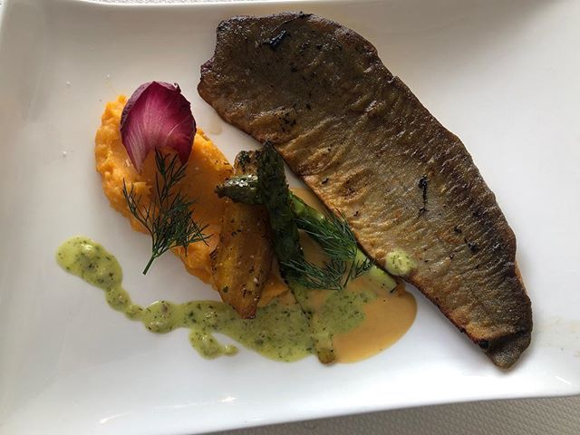 gillespudlowski's tweet photo. Omble chevalier et mousseline de patates douces  #yvoire #savoiemontblanc #savoie #hautesavoie #destinationleman #foodphotography #foodblogger #foodlover #eat #foodforthought #yummy #amazing #foodpics #foodstagram #instagood #photooftheday #sweet #dinner… https://t.co/6apAYlQCnn https://t.co/tjhbsuNlDp