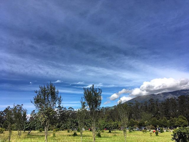 mi_travesia's tweet photo. Aunque no tengo playa cerca, encontré un buen reemplazo... #nature #eucalyptus #trees #sky #trip #travel #explore #yolo #bucketlist #placetobe #breatheinbreatheout #southamerica #viajar #destinos #paisajes #naturaleza #bosque #sudamerica https://t.co/QvzwsrJFgr https://t.co/FRus6177mO