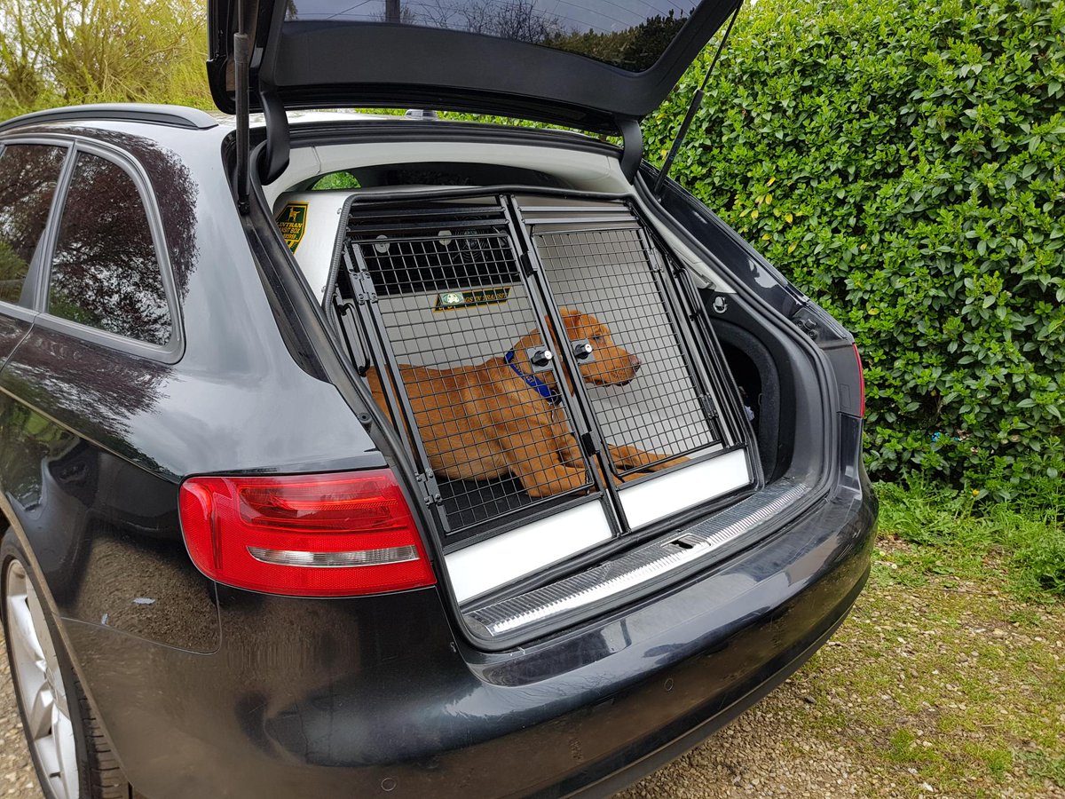 lintranK9Ltd's tweet image. Received lovley pics of this doggie inspecting his new @lintranK9Ltd dog box when mum brough it home...I think it meet with approval!!...safe travels furry friend!!...🐾🐾🐶😃#safe #whiteboxes #labradorretriever #dogsoftwitter #audi #A4 #cool