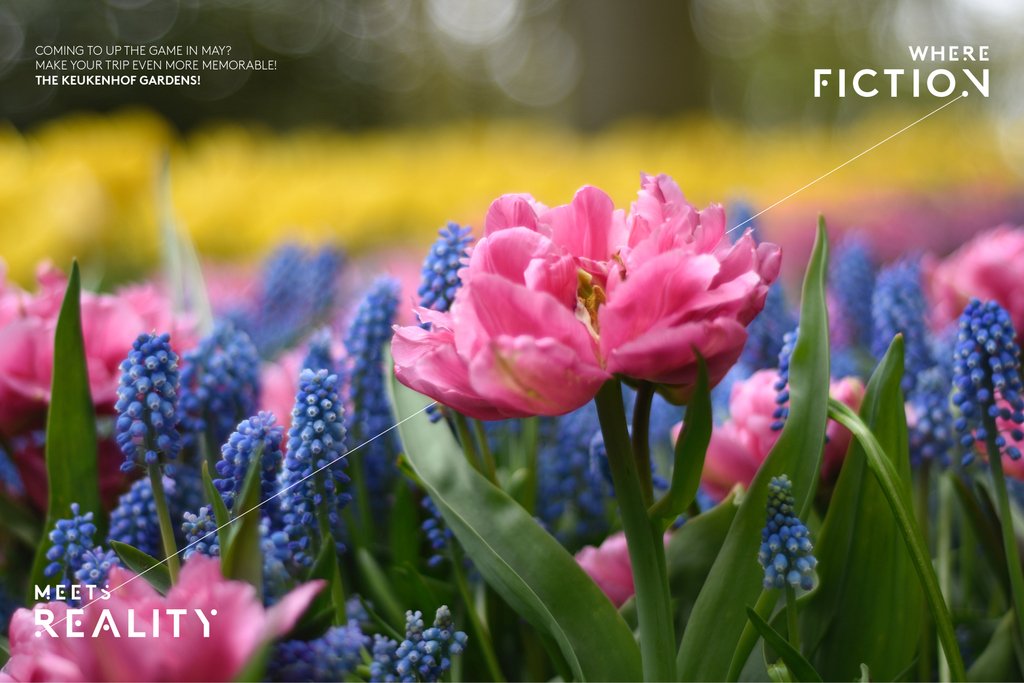 Coming to Up The Game in May? Make your trip even more memorable!
While in Holland you should see…
The Keukenhof Gardens!
#holland #keukenhof #garden #beautiful #trip #tourist #utg2019 #experience #escaperoom #reallifegame #may #spring