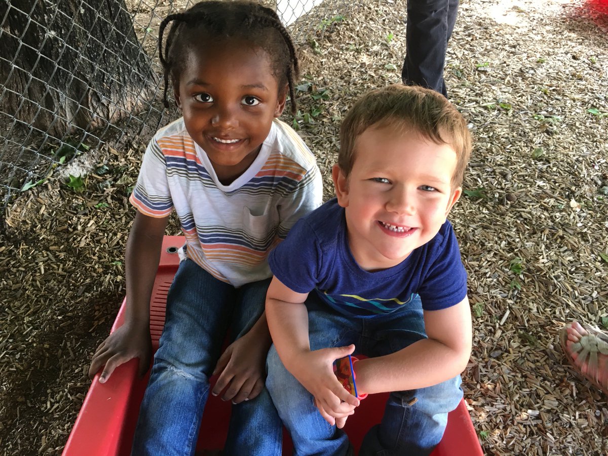 Asheville Preschool tweet media