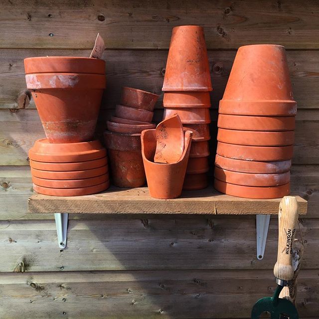 seanjcameronuk's tweet photo. Vintage pots #vintage #teracota
.
.
Follow my progress on my YouTube channel https://t.co/tO9VQkUC8a - link in bio.
.
#allotment #garden #gardening #seansallotmentgarden #diaryofaukgardener #pottingbench https://t.co/nCbP5XoXGL