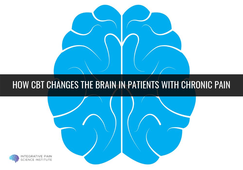 Integrative Pain Science Institute tweet media