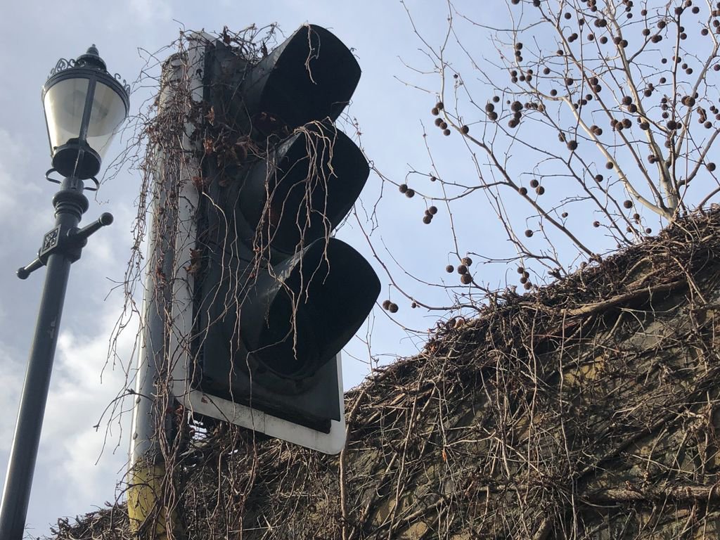 The plant life has taken over in #Bankside. Felt like a tiny glimpse into a post apocalyptic world. Then just round the corner we were greeted with the hustle and bustle of Borough Market and all was well again. #Bestplacetowork