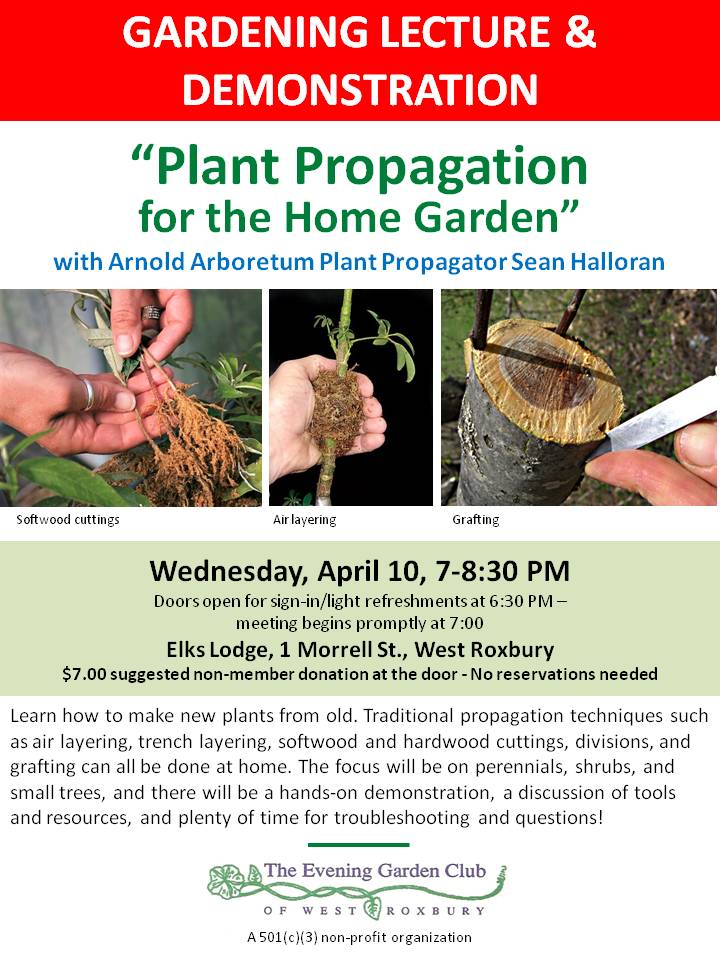 West Roxbury Main Streets On Twitter Garden Lecture Tonight At