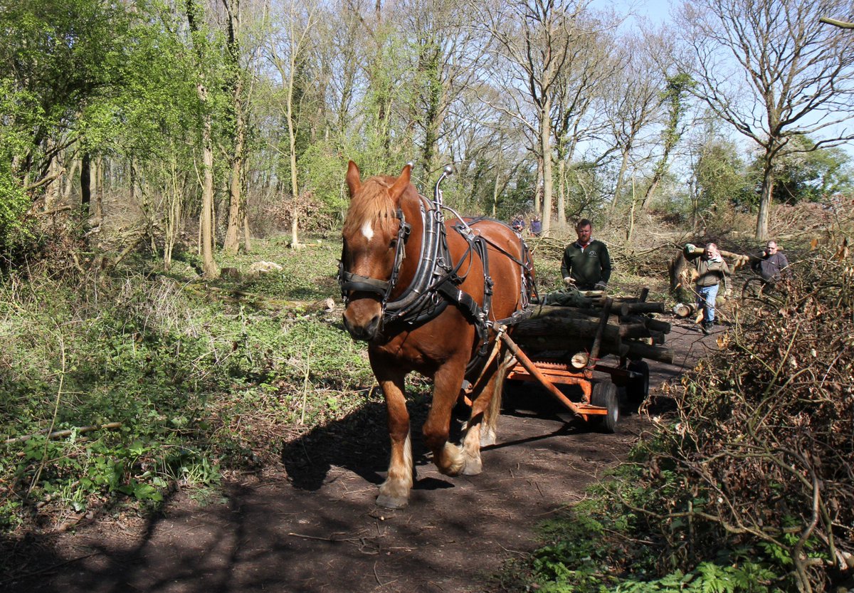 Colin Humphrey tweet media