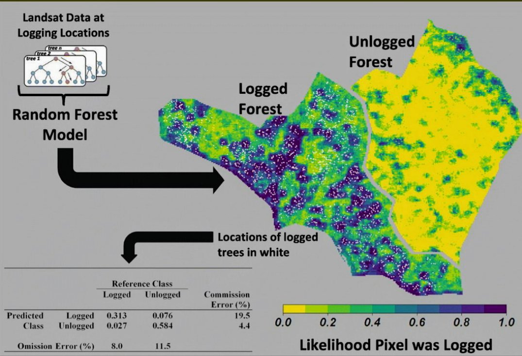 Come learn about our work on mapping selective logging in the remote sensing of forests session Thursday AM: LT1 1030 #UTE2019