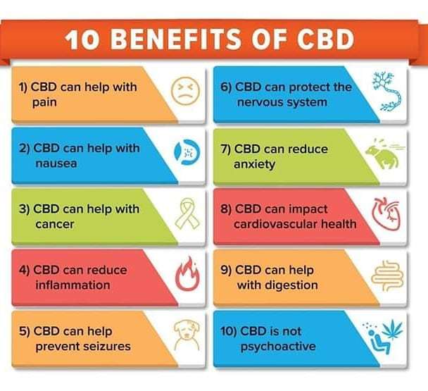 BrittenMcDowell's tweet photo. #cbdoil #CBDLaunch
#TOPICALCBD
#WAEARTHESQUARE #sharethesquare. we have the only topical application patch!!!!! Did you know that not all CBD is the same? Did you know oral absorption is only about 8% at best? That's like buying $100 of gas🛢 for you… https://t.co/PXbYSEKpLW https://t.co/E8idZnG75L